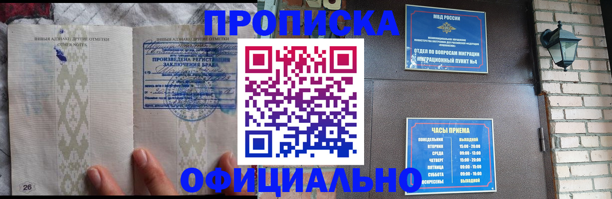 прописка поиск в Шадринске